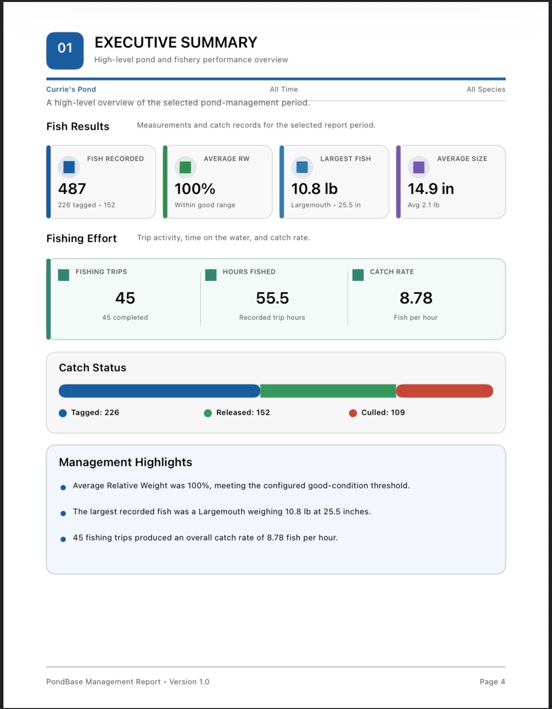 Executive summary page